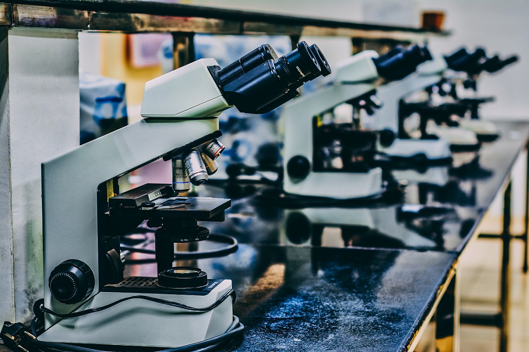 Μελετώντας το αρχαίο DNA