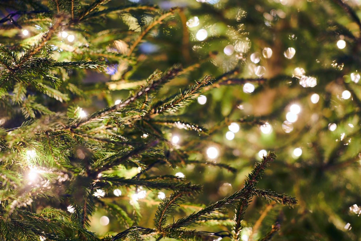 Cycle for Xmas! – Powered by Motoroil